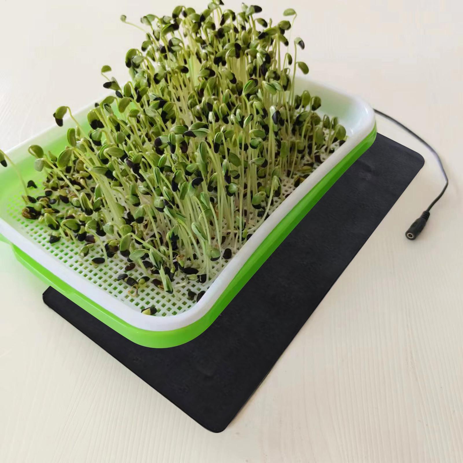 Alfombrilla térmica para la ge - Seedling Heat Mat reseña y precio